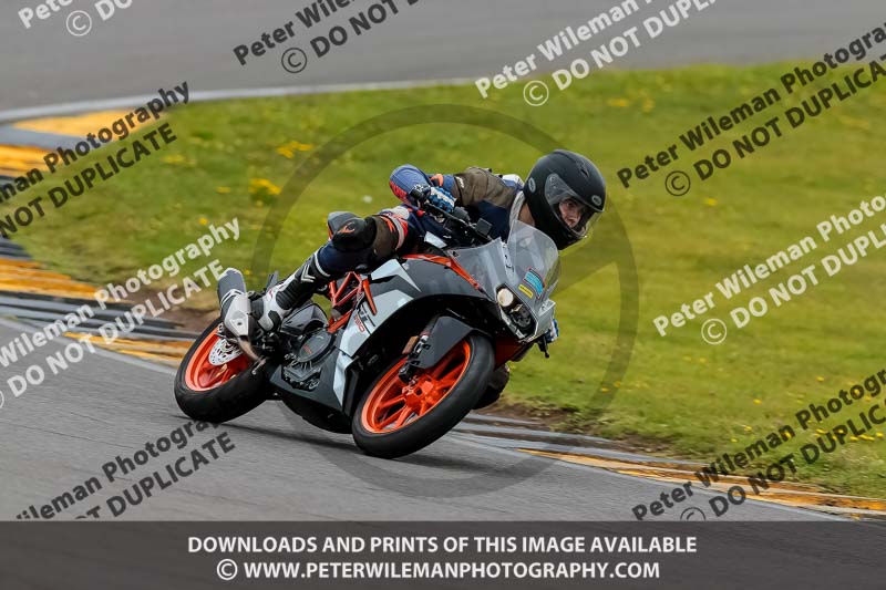 PJ Motorsport 2019;anglesey no limits trackday;anglesey photographs;anglesey trackday photographs;enduro digital images;event digital images;eventdigitalimages;no limits trackdays;peter wileman photography;racing digital images;trac mon;trackday digital images;trackday photos;ty croes